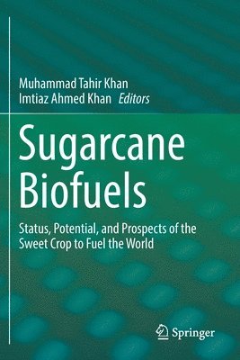 Sugarcane Biofuels 1