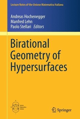 Birational Geometry of Hypersurfaces 1