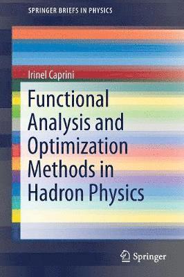 Functional Analysis and Optimization Methods in Hadron Physics 1