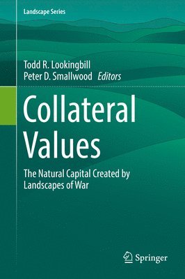 bokomslag Collateral Values