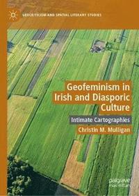 bokomslag Geofeminism in Irish and Diasporic Culture