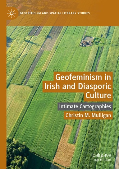 Christin M. Mulligan - Geofeminism in Irish and Diasporic Culture, Häftad