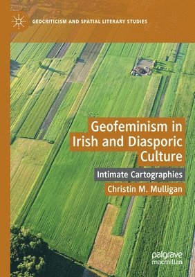 bokomslag Geofeminism in Irish and Diasporic Culture