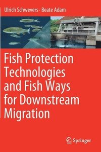 bokomslag Fish Protection Technologies and Fish Ways for Downstream Migration