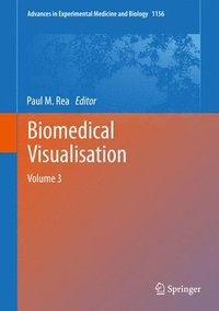 bokomslag Biomedical Visualisation