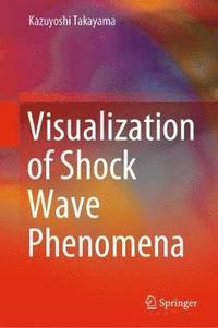 bokomslag Visualization of Shock Wave Phenomena