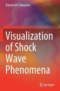 bokomslag Visualization of Shock Wave Phenomena