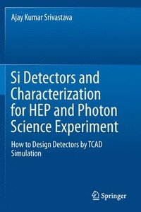 bokomslag Si Detectors and Characterization for HEP and Photon Science Experiment