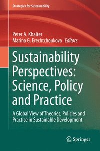 bokomslag Sustainability Perspectives: Science, Policy and Practice