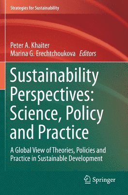 bokomslag Sustainability Perspectives: Science, Policy and Practice