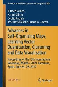 bokomslag Advances in Self-Organizing Maps, Learning Vector Quantization, Clustering and Data Visualization