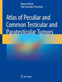 bokomslag Atlas of Peculiar and Common Testicular and Paratesticular Tumors