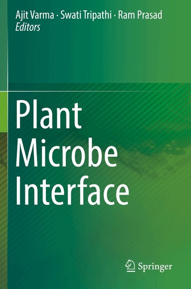 Ajit Varma, Swati Tripathi, Ram Prasad - Plant Microbe Interface, Häftad