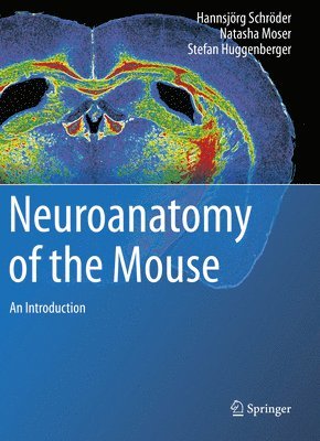bokomslag Neuroanatomy of the Mouse