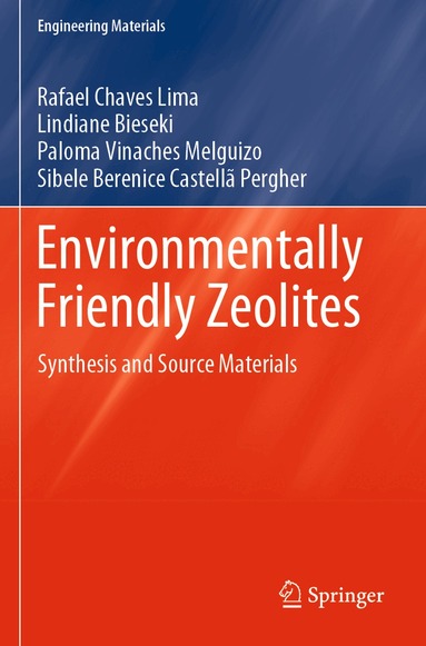 Rafael Chaves Lima, Lindiane Bieseki, Paloma Vinaches Melguizo, Sibele Berenice Castellã Pergher - Environmentally Friendly Zeolites, Häftad