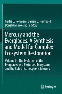 bokomslag Mercury and the Everglades. A Synthesis and Model for Complex Ecosystem Restoration