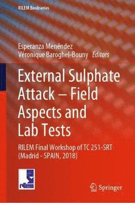 bokomslag External Sulphate Attack - Field Aspects and Lab Tests