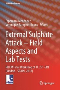 bokomslag External Sulphate Attack  Field Aspects and Lab Tests