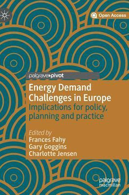 bokomslag Energy Demand Challenges in Europe