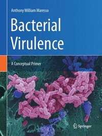 bokomslag Bacterial Virulence