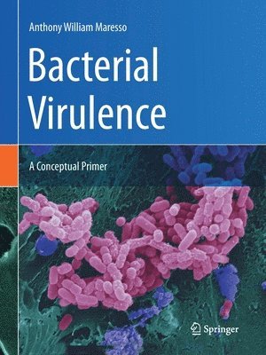 bokomslag Bacterial Virulence