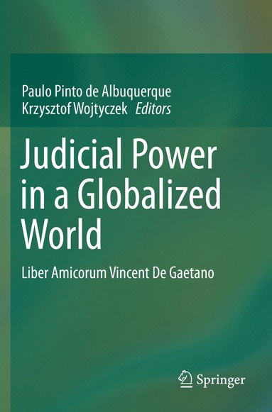 bokomslag Judicial Power in a Globalized World