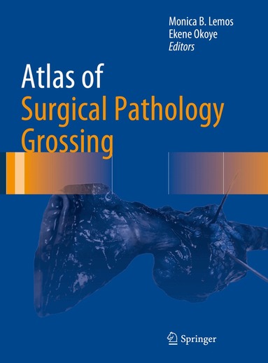 Monica B. Lemos, Ekene Okoye - Atlas of Surgical Pathology Grossing, Inbunden