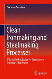 bokomslag Clean Ironmaking and Steelmaking Processes