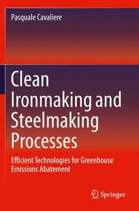bokomslag Clean Ironmaking and Steelmaking Processes