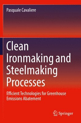 Clean Ironmaking and Steelmaking Processes 1