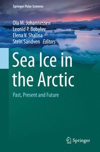 bokomslag Sea Ice in the Arctic