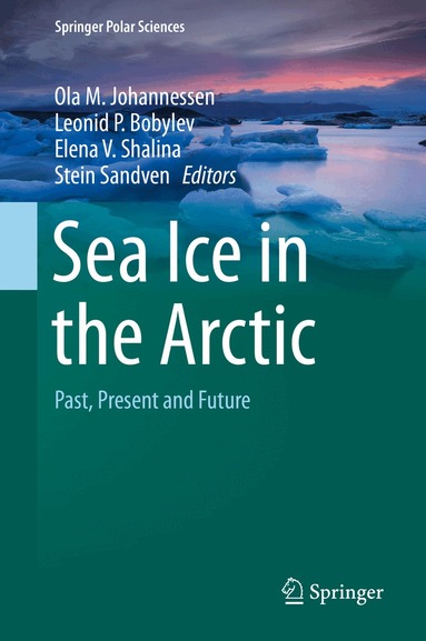 Ola M. Johannessen, Leonid P. Bobylev, Elena V. Shalina, Stein Sandven - Sea Ice in the Arctic, Inbunden