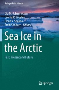 bokomslag Sea Ice in the Arctic