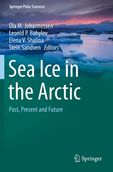 Ola M. Johannessen, Leonid P. Bobylev, Elena V. Shalina, Stein Sandven - Sea Ice in the Arctic, Häftad