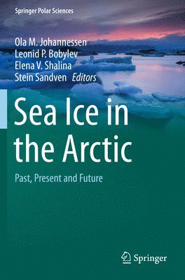 Sea Ice in the Arctic 1