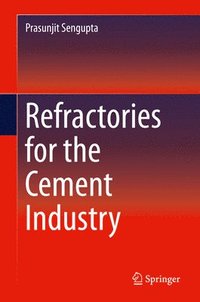 bokomslag Refractories for the Cement Industry