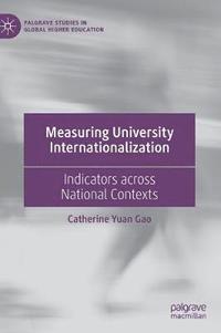 bokomslag Measuring University Internationalization