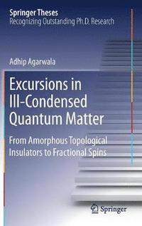 bokomslag Excursions in Ill-Condensed Quantum Matter