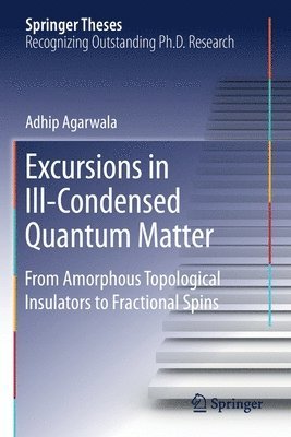 bokomslag Excursions in Ill-Condensed Quantum Matter