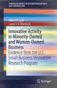 bokomslag Innovative Activity in Minority-Owned and Women-Owned Business
