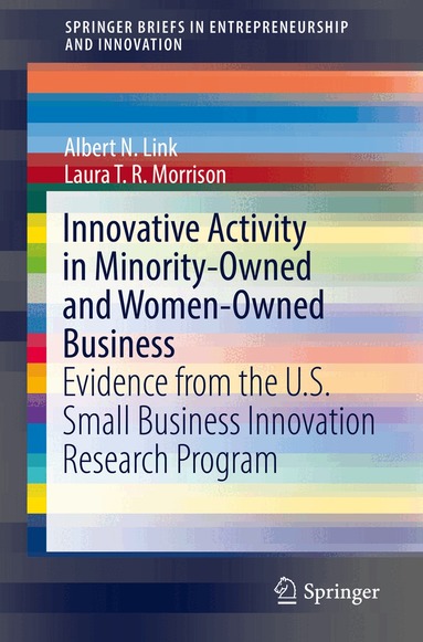 Albert N. Link, Laura T. R. Morrison - Innovative Activity in Minority-Owned and Women-Owned Business, Häftad