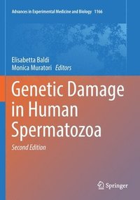 bokomslag Genetic Damage in Human Spermatozoa