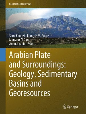 Arabian Plate and Surroundings:  Geology, Sedimentary Basins and Georesources 1