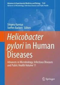 bokomslag Helicobacter pylori in Human Diseases
