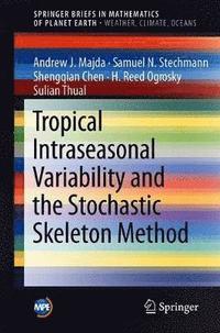 bokomslag Tropical Intraseasonal Variability and the Stochastic Skeleton Method