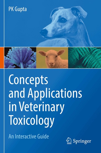 PK Gupta - Concepts and Applications in Veterinary Toxicology, Häftad