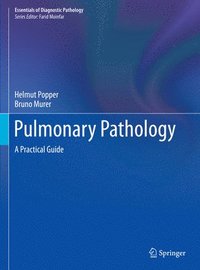 bokomslag Pulmonary Pathology