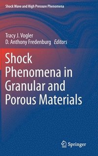 bokomslag Shock Phenomena in Granular and Porous Materials