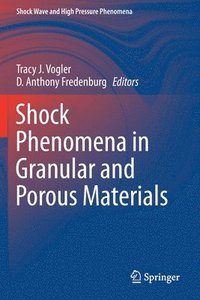 bokomslag Shock Phenomena in Granular and Porous Materials