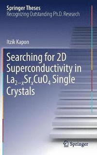bokomslag Searching for 2D Superconductivity in La2xSrxCuO4 Single Crystals